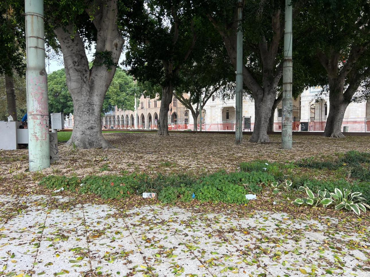 Viaggio nella nuova piazza Matteotti: pavimento bianco e nuova fontana, ma per ora solo caos e disagi provocati dagli incivili