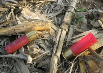 Tragico incidente di caccia a Quartu, il Grig: “Quante altre morti servono ancora?”