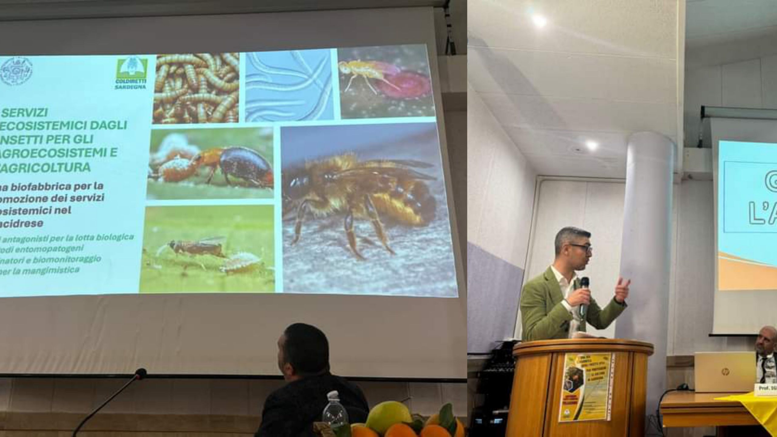 Villacidro, insetti utili per un’agricoltura sostenibile e biologica