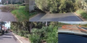 Alberi crollati e strade ostruite, in Sardegna si contano i danni dovuti al maltempo