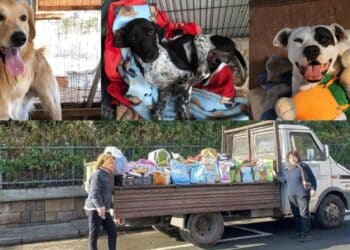 Da Selargius a Gonnosfanadiga il camion della solidarietà