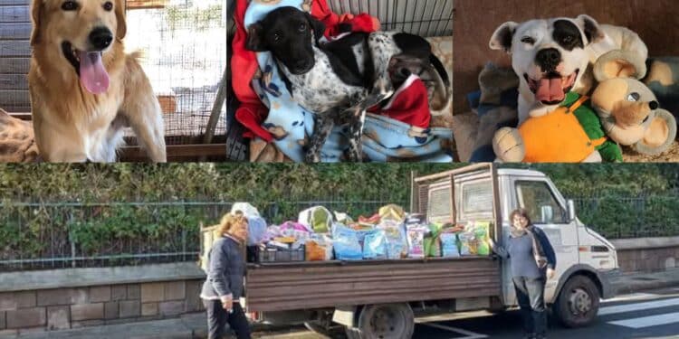 Da Selargius a Gonnosfanadiga il camion della solidarietà