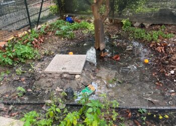 Cagliari, in piazza Granatieri l’sos dei cittadini: “Tombini esplosi da mesi, siamo in ostaggio di blatte e topi” (VIDEO)