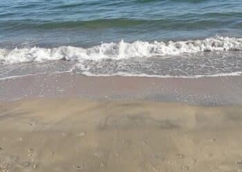 Capoterra, amo e lenza finiti in pancia a un cane