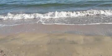 Capoterra, amo e lenza finiti in pancia a un cane