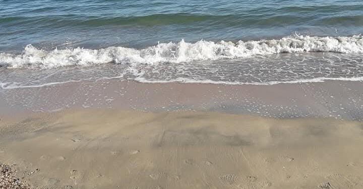 Capoterra, amo e lenza finiti in pancia a un cane