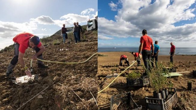 Sarroch, acque reflue dei depuratori per irrigare le 50 mila piante del progetto di forestazione urbana