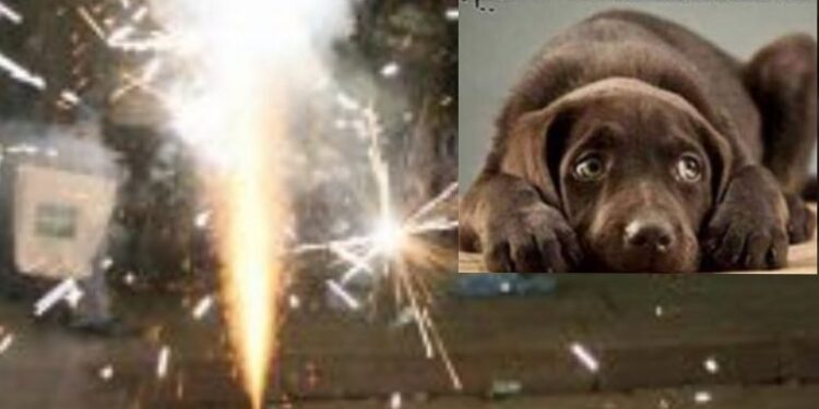 Capoterra vieta l’utilizzo di fuochi d’artificio e petardi senza successo