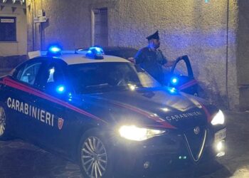 Villacidro, furto di legna in territorio comunale: 23enne nei guai