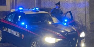 Villacidro, furto di legna in territorio comunale: 23enne nei guai