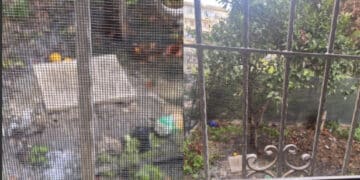 Cagliari, topi, blatte e “fogne che traboccano”: “Impossibile aprire le finestre perché la puzza è troppo forte”