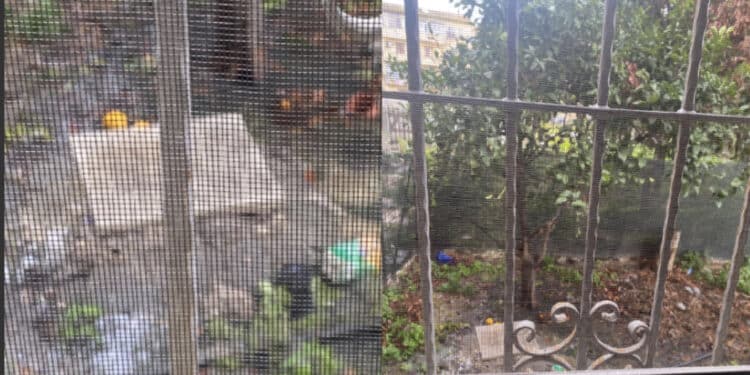 Cagliari, topi, blatte e “fogne che traboccano”: “Impossibile aprire le finestre perché la puzza è troppo forte”