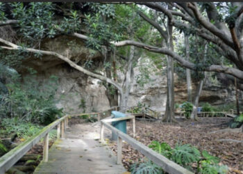 Cagliari, Orto Botanico da record: 90 Mila visitatori nel 2024