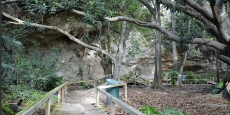 Cagliari, Orto Botanico da record: 90 Mila visitatori nel 2024