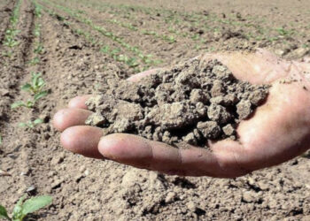 La Baronia dice addio alla siccità: autorizzato l’utilizzo di un milione di metri cubi d’acqua per utilizzi aziendali