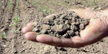 La Baronia dice addio alla siccità: autorizzato l’utilizzo di un milione di metri cubi d’acqua per utilizzi aziendali