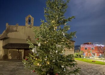 Anche a Flumini si accende il Natale: piazzati due nuovi pini al parco Parodi e a Is Pardinas