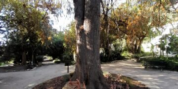 Cagliari, all’Orto botanico il presepe della tradizione asseminese