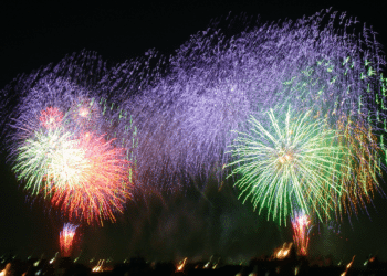 Zero arrivi per Capodanno in Sardegna, insostenibile il salasso aerei: decine di migliaia di euro spesi inutilmente