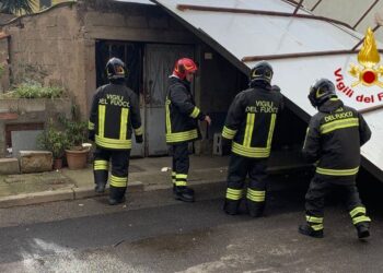 Fortissimo vento in tutta la Sardegna, alberi pericolanti e cornicioni staccati: in azione i vigili del fuoco