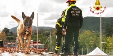 Unità operative speciali per i vigili del fuoco: Simo, Hermione e Joy, i tre nuovi cani addestrati del Nucleo Cinofilo