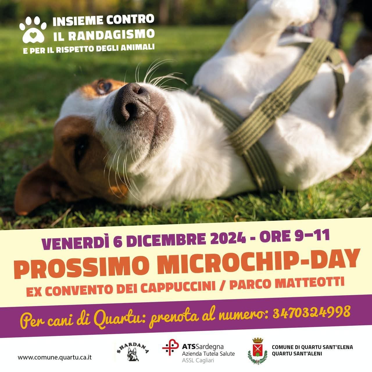Insieme contro il randagismo: a Quartu il Microchip-Day