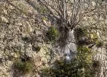 Cagliari invasa dalle perdite d’acqua: strada allagata in Viale Buoncammino (VIDEO)