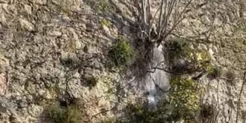 Cagliari invasa dalle perdite d’acqua: strada allagata in Viale Buoncammino (VIDEO)