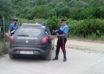 Riaperta al traffico la Strada Provinciale SP1 dopo i lavori di ripristino del ponte tubolare, fine dell’emergenza