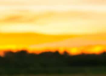 Cagliari, ci ha lasciato la nostra cara Maria Cabras