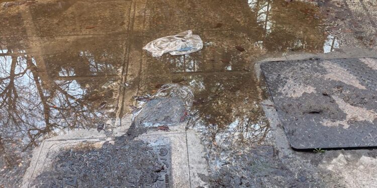 Cagliari, il quartiere del sole invaso dai liquami: “Abbanoa che fine ha fatto?”