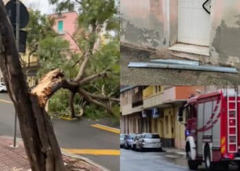 La bufera di Sant’Antonio mette in ginocchio l’isola, paura a Cagliari: alberi crollati, cadono grondaie e cornicioni