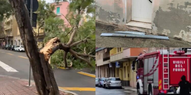 La bufera di Sant’Antonio mette in ginocchio l’isola, paura a Cagliari: alberi crollati, cadono grondaie e cornicioni
