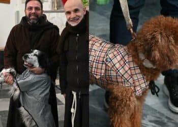 Quattro zampe in fila a Quartu per la benedizione di Sant’Antonio