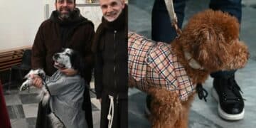 Quattro zampe in fila a Quartu per la benedizione di Sant’Antonio