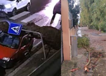 Alberi caduti per il maltempo a Quartu, i cittadini sollecitano un intervento risolutivo