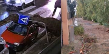 Alberi caduti per il maltempo a Quartu, i cittadini sollecitano un intervento risolutivo