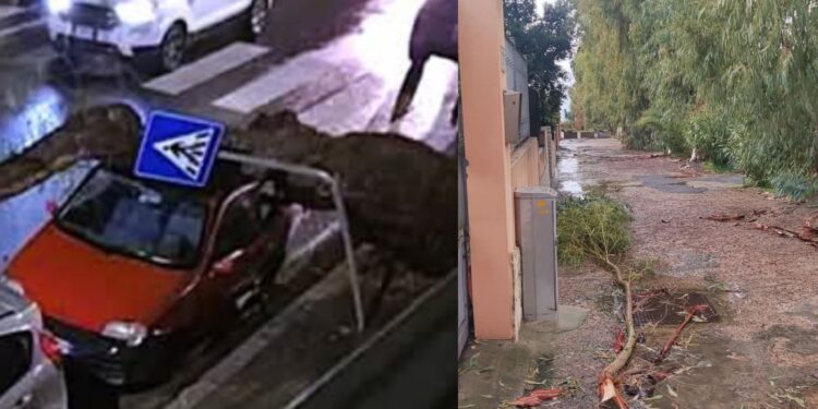 Alberi caduti per il maltempo a Quartu, i cittadini sollecitano un intervento risolutivo