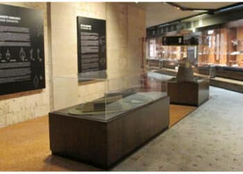 I consigli di Neon Europa: i Vantaggi delle Teche in Plexiglass