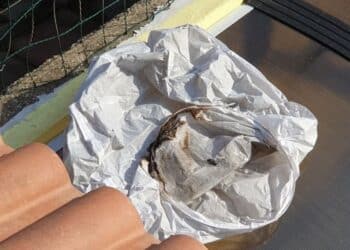 A Sestu non solo botti e fuochi d’artificio, anche lanterne cinesi nel cielo a mezzanotte: una è caduta sul tetto di una casa