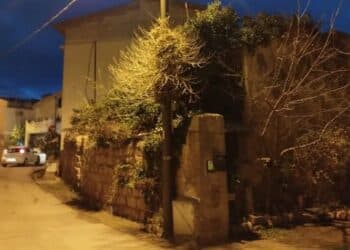 Gonnosfanadiga, cane a passeggio con la padrona prende la scossa in un palo