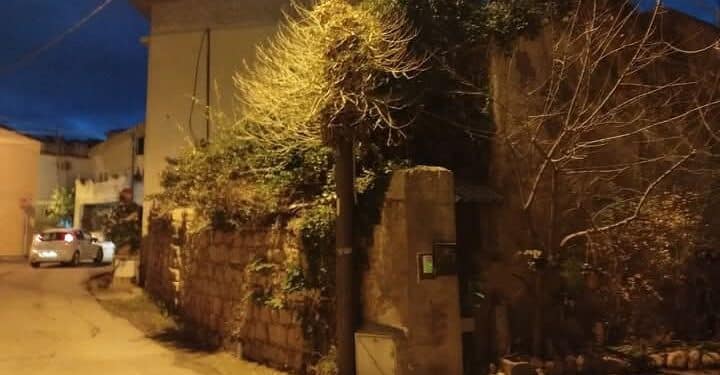 Gonnosfanadiga, cane a passeggio con la padrona prende la scossa in un palo