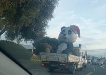 Ciao ciao signor panda, trasloca nuovamente il simbolo delle feste a Quartu