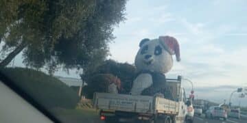 Ciao ciao signor panda, trasloca nuovamente il simbolo delle feste a Quartu