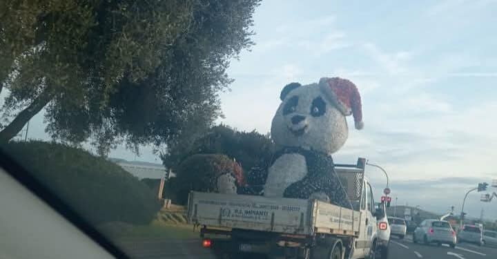 Ciao ciao signor panda, trasloca nuovamente il simbolo delle feste a Quartu