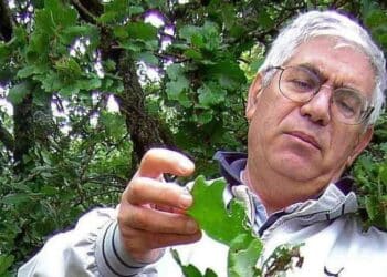 Addio a Ignazio Camarda, il super esperto di fiori e piante in Sardegna