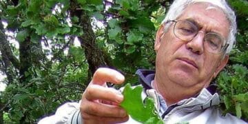 Addio a Ignazio Camarda, il super esperto di fiori e piante in Sardegna