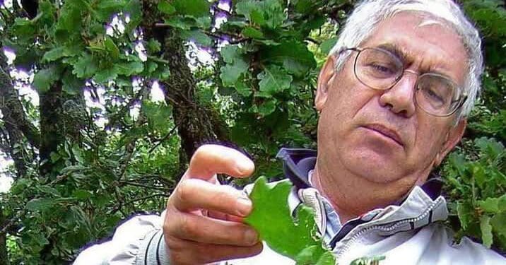 Addio a Ignazio Camarda, il super esperto di fiori e piante in Sardegna