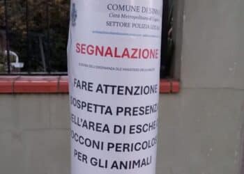 Sinnai, esche o bocconi pericolosi per gli animali