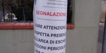 Sinnai, esche o bocconi pericolosi per gli animali